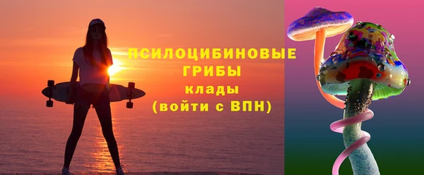 хмурый Сафоново
