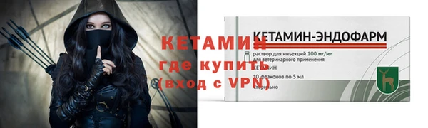 стаф Аркадак