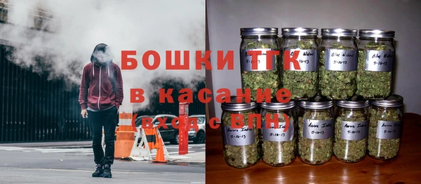 стаф Аркадак