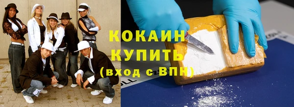 стаф Аркадак