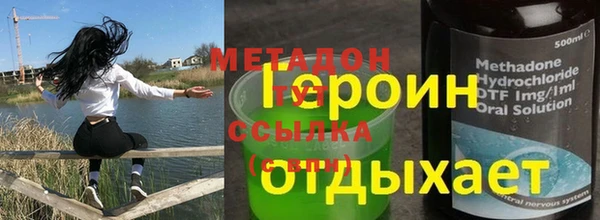 стаф Аркадак